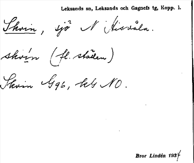 Bild på arkivkortet för arkivposten Skvin