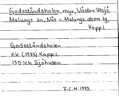 Bild på arkivkortet för arkivposten Godsståndsholen