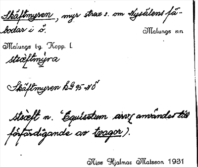 Bild på arkivkortet för arkivposten Skäftmyren