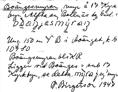 Bild på arkivkortet för arkivposten Boängesmyran
