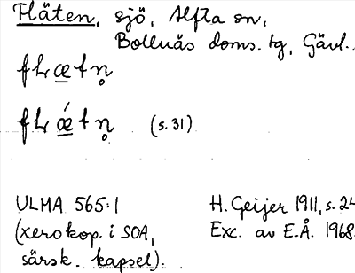 Bild på arkivkortet för arkivposten Fläten