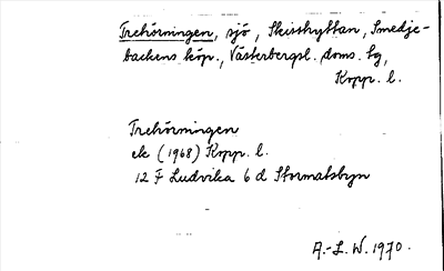 Bild på arkivkortet för arkivposten Trehörningen