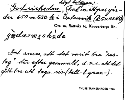 Bild på arkivkortet för arkivposten Godrisheden