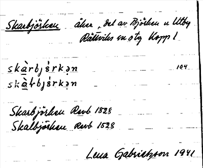 Bild på arkivkortet för arkivposten Skarbjörken