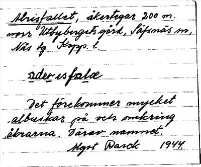 Bild på arkivkortet för arkivposten Alrisfallet