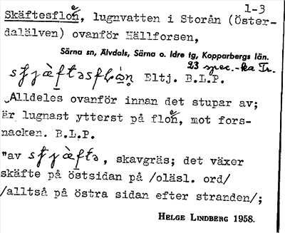 Bild på arkivkortet för arkivposten Skäftesfloen