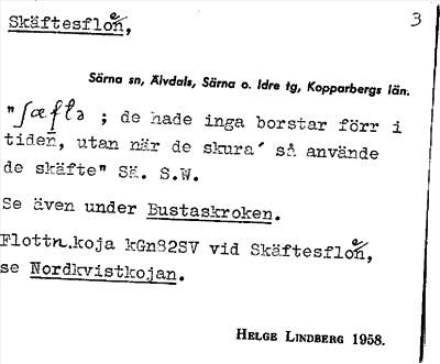 Bild på arkivkortet för arkivposten Skäftesfloen