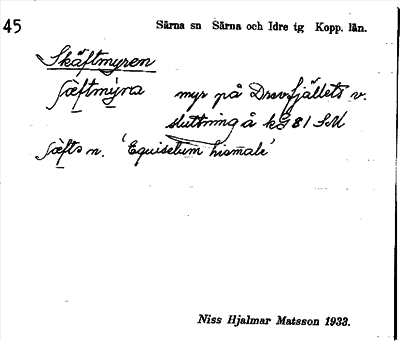Bild på arkivkortet för arkivposten Skäftmyren