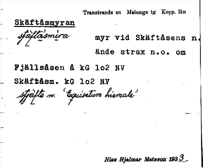 Bild på arkivkortet för arkivposten Skäftåsmyran