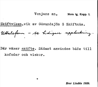 Bild på arkivkortet för arkivposten Skäftviken