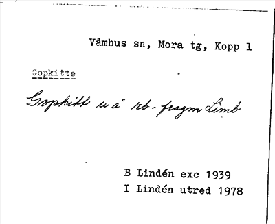 Bild på arkivkortet för arkivposten Gopkitte