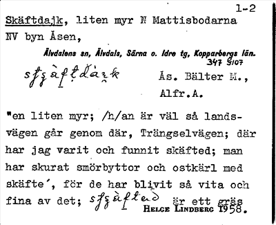 Bild på arkivkortet för arkivposten Skäftdajk