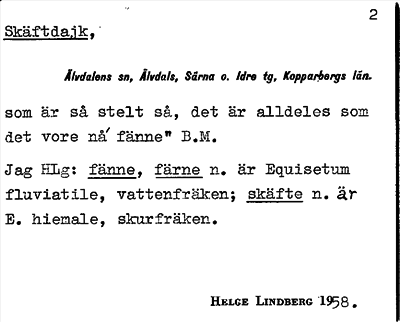 Bild på arkivkortet för arkivposten Skäftdajk
