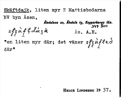 Bild på arkivkortet för arkivposten Skäftdajk