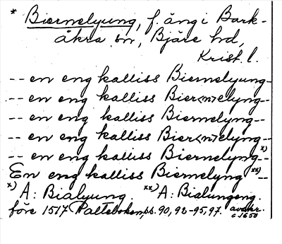 Bild på arkivkortet för arkivposten *Biernelyung