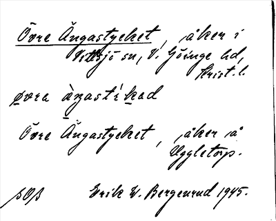 Bild på arkivkortet för arkivposten Övre Ängastycket