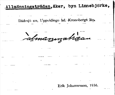 Bild på arkivkortet för arkivposten Allmänningaträdan