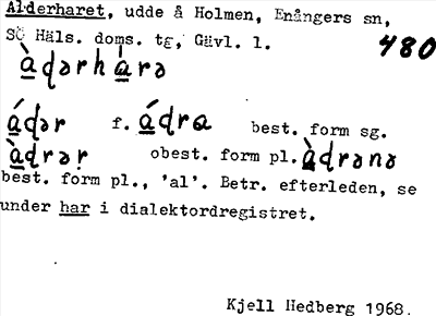 Bild på arkivkortet för arkivposten Alderharet