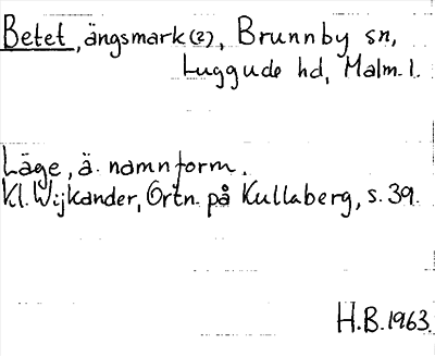 Bild på arkivkortet för arkivposten Betet