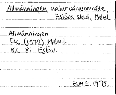 Bild på arkivkortet för arkivposten Allmänningen