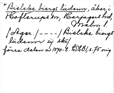 Bild på arkivkortet för arkivposten *Bielcke biergs liidenn