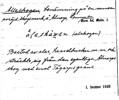 Bild på arkivkortet för arkivposten Alleskogen