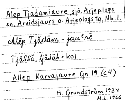 Bild på arkivkortet för arkivposten Alep Tjadamjaure