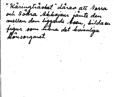 Bild på baksidan av arkivkortet för arkivposten Akkajaur, Norra