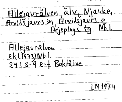 Bild på arkivkortet för arkivposten Allejaurälven