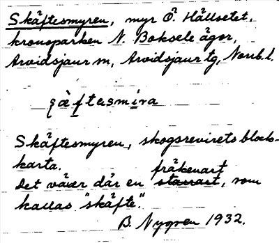 Bild på arkivkortet för arkivposten Skäftesmyren