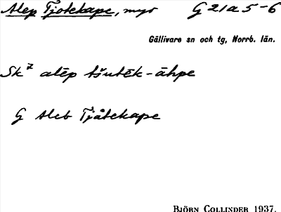 Bild på arkivkortet för arkivposten Alep Tjotekape