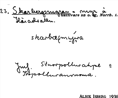 Bild på arkivkortet för arkivposten Skarbergsmyran