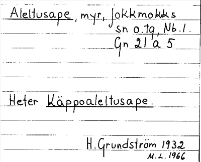 Bild på arkivkortet för arkivposten Aleltusape