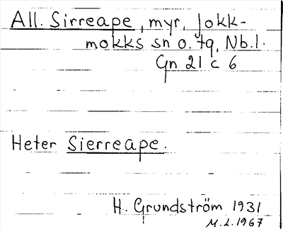 Bild på arkivkortet för arkivposten All. Airreape