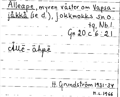 Bild på arkivkortet för arkivposten Alleape
