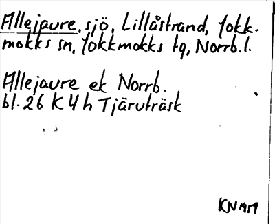 Bild på arkivkortet för arkivposten Allejaure