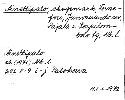 Bild på arkivkortet för arkivposten Ainettipalo