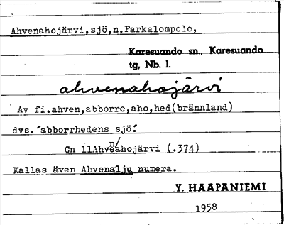 Bild på arkivkortet för arkivposten Ahvenahojärvi