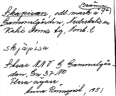 Bild på arkivkortet för arkivposten Skapisan