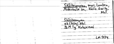 Bild på arkivkortet för arkivposten Skäftesmyran