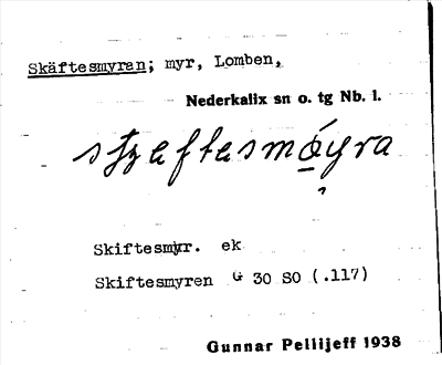 Bild på arkivkortet för arkivposten Skäftesmyran