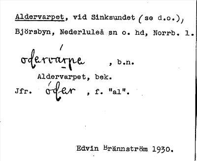 Bild på arkivkortet för arkivposten Aldervarpet