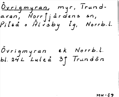 Bild på arkivkortet för arkivposten Övrigmyran