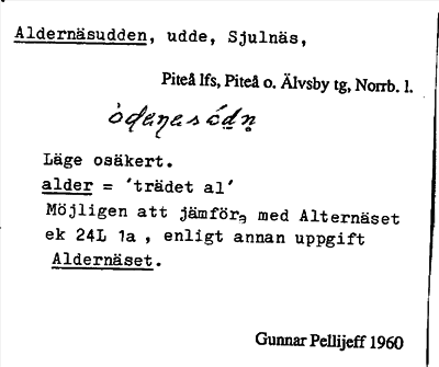 Bild på arkivkortet för arkivposten Aldernäsudden