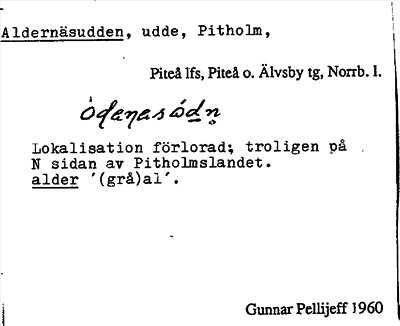 Bild på arkivkortet för arkivposten Aldernäsudden