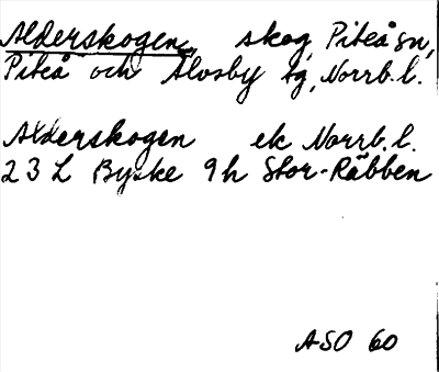 Bild på arkivkortet för arkivposten Alderskogen
