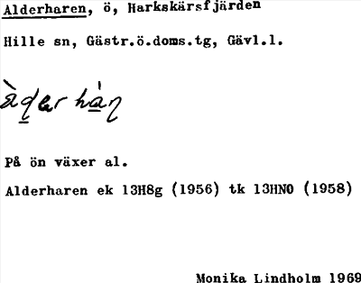 Bild på arkivkortet för arkivposten Alderharen