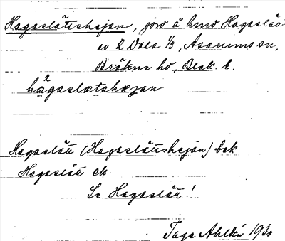 Bild på arkivkortet för arkivposten Hagaslättshejan