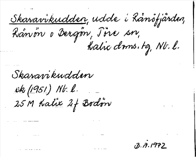 Bild på arkivkortet för arkivposten Skaravikudden