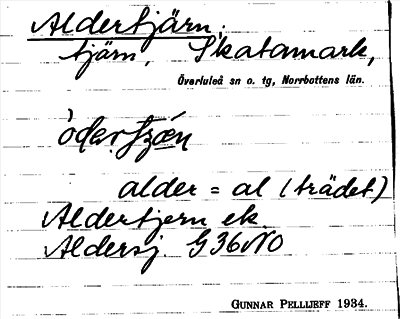 Bild på arkivkortet för arkivposten Aldertjärn
